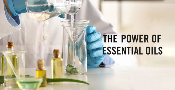 THE POWER OF ESSENTIAL OILS WITH DR. PAULINE HILI, AUTHOR OF RESEARCH PAPERS ON ESSENTIAL OILS' ANTIMICROBIAL PROPERTIES